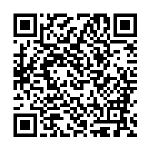 就这样成为了荣耀至死首次街头表演的第一首演唱曲目二维码生成