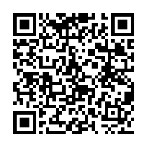 就这样泽口仍然是污水事儿一桩接一桩的翻出来二维码生成