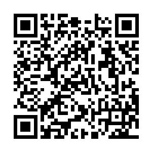 就连一直吹牛见多识广的寒冬刺客都不知道该怎么办了二维码生成