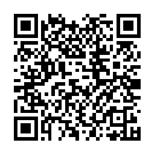 就连一直和金七安相识多年的任晰也觉得有些奇怪二维码生成