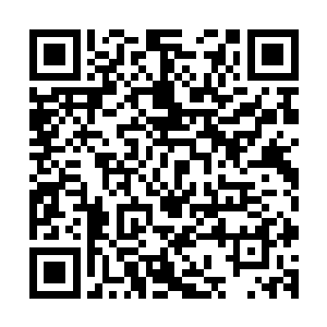 就连一直沉稳没有颤抖的手也在别人看不到的时候微微抖动了二维码生成