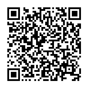 就连之前的那个执法队的高手也是主动提议要和其他的高手跟在夏天的身后二维码生成