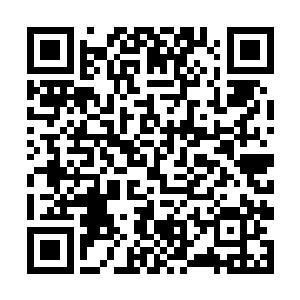 就连什么时候跟随着霍天逍进了一处房间都没有发觉二维码生成