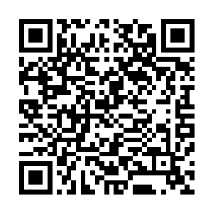 就连今夜天黑之后是否还能迎来第二天的黎明他们都不确定二维码生成