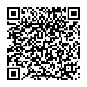 就连他向天明都没有想到他身旁朝夕相处的大长老实力能够强大到如此的程度二维码生成