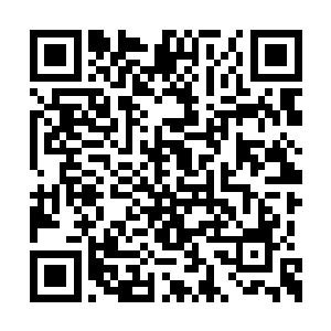 就连你也不敢大言不惭的说自己解决掉那些丧尸二维码生成