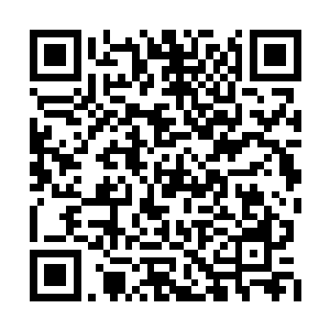 就连先前那虎蛟大妖王跟鳄蛟王之间的神念交流二维码生成