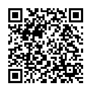 就连其它神祗甚至与雷林同来的黑暗之主都有些陷入了呆滞当中二维码生成