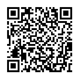 就连凤羽珩都有些分不清这到底是大顺朝的军营二维码生成