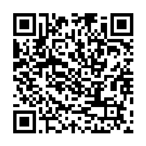 就连刚才下来的韩正方在岩浆之中也不可能看到什么东西二维码生成