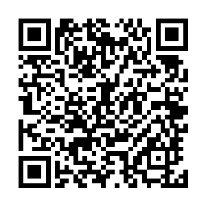就连前几日也是错过了知道的机会殡仪馆的临时工最新章节二维码生成