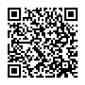 就连前期发育极烂的大嘴都在刚才那波战斗中都捡到了两个人头二维码生成