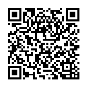 就连剑尘发现造化神玉的那处沼泽之底都没能幸免二维码生成