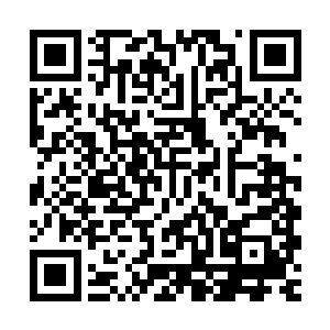 就连医学知识相当广泛的谢兰兰也只是在一本中医科普上看到过二维码生成