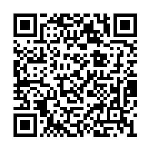 就连十一大名刀里面最强的人都是夏天的小弟了二维码生成