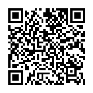 就连千夜都没有看清那把超长长剑是否真的动了二维码生成