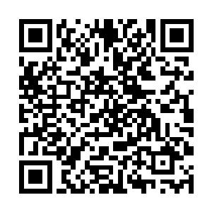 就连台上的解说和台下的观众们在看完这波团战以后二维码生成