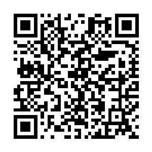 就连叶洱曾经的老东家法国香奈儿公司也特地派人出面捧场二维码生成