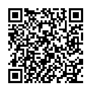 就连叶红梅和那个胖女人都是一脸疑惑的看着赵半仙二维码生成