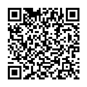 就连叶绍迪比卢亚这些领域强者都忍不住打了个哆嗦二维码生成