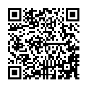 就连在一旁看着两人的无极四公子们都不约而同皱起了眉头二维码生成