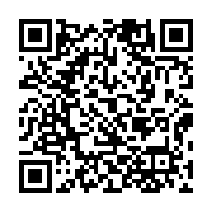 就连在文鸯身边的文钦以及一干虎卫将士都不禁为之色变二维码生成