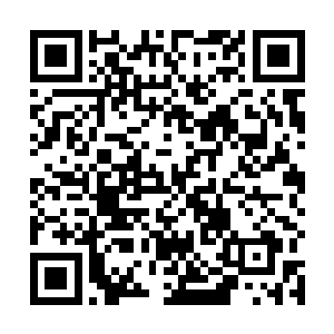 就连在那边哇哇大哭的锦儿都保持着在哭的姿态愣住了二维码生成