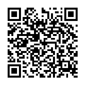 就连坐在副驾位的玫瑰都死死地抓住了车里面的把手二维码生成