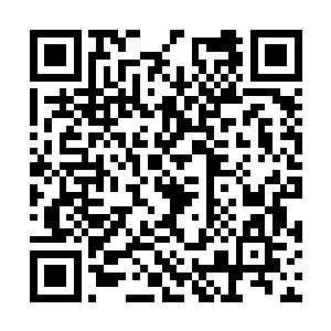 就连城主和那个特使的目光也全都看向了夏天这里二维码生成