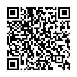 就连城外的余蝎老魔等人还有城中的邬长天等人也全都看傻了眼二维码生成