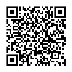 就连墨景祈墨景黎雷振霆甚至是苏醉蝶都没有这个女人讨厌二维码生成