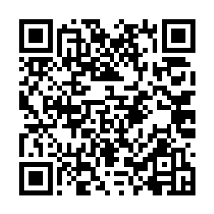 就连大楚秋冬最多的一些常见花卉西陵也是少见的二维码生成