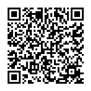 就连她身边的那位骑士长也是第一次见到罗瑞小姐如此频繁地发号施令二维码生成