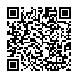 就连如今定王府麾下的许多人也生出一些不赞同的心思来二维码生成