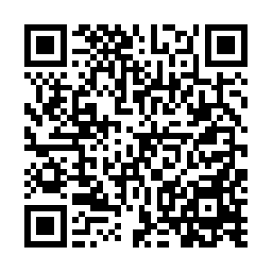 就连守护原始秘境那名提着剑的强者都淡淡的扫了他一眼二维码生成