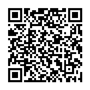 就连小萝莉轻轻都担忧地看着如同木头一般的吴虎臣二维码生成