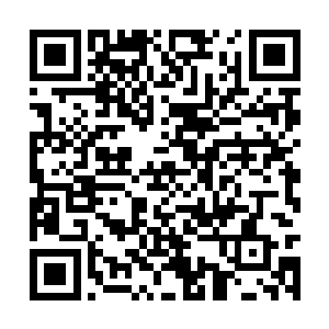 就连巴西的总统卡多佐都出面来为罗马里奥求情了二维码生成