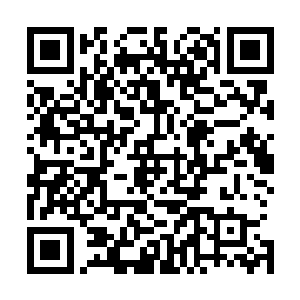 就连平常这不让做那不让做的叶璃也被抓来书房里忙碌取来二维码生成