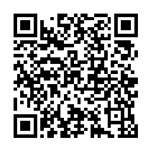 就连张钧和龙菲菲也是像看外星人似的看着白昊和刘书记二维码生成