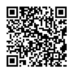 就连当时每个位置都属于顶尖的w1都免不了悲剧的命运二维码生成