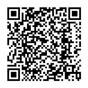 就连思思和小太阳这两个心宽的也在连续三天看不到妈妈的情况下抗议了二维码生成