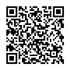 就连愤怒坐下那头黑狼此刻也显得是无比的疲倦二维码生成