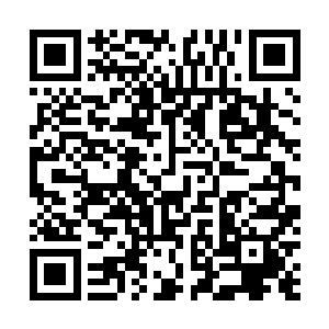 就连我这个村长进出村也必须要得到方寸公司的许可才行二维码生成