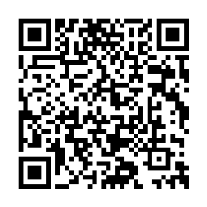 就连最凶猛的猛虎巨蜥都是离得有多远就有多远二维码生成