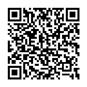 就连最后一层防御护罩也抵挡不住许紫烟的掌控二维码生成