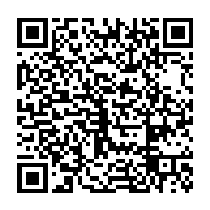 就连杨婵自己都分不清她跟猴子之间的协议究竟处于什么样的状态了吧二维码生成