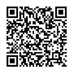 就连正门对面那三扇大窗户也都被两个书柜挡了大半二维码生成