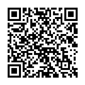 就连海族和水族这数十次与蚩家魔族作战的族类二维码生成