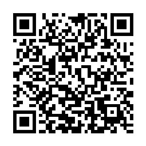 就连界之力量第五重的人也觉得从夏天的身上学到了很多的东西二维码生成