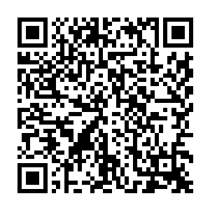 就连着白沧海与夜影二人也是露出一副愕然的目光看着眼前的年轻女子二维码生成